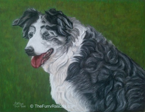 Portrait of Collie in soft pastels - The Furry Rascals Cyprus
